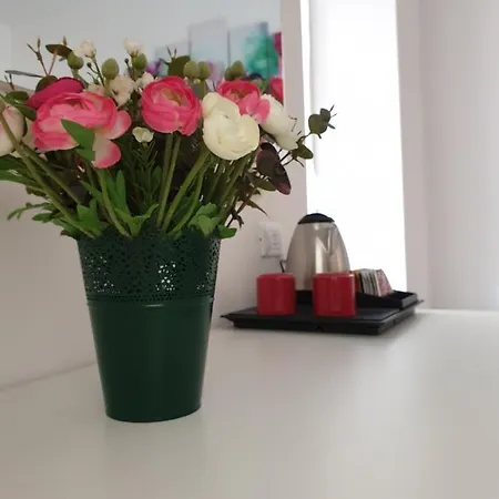 Beautiful Dream 게스트하우스 4*