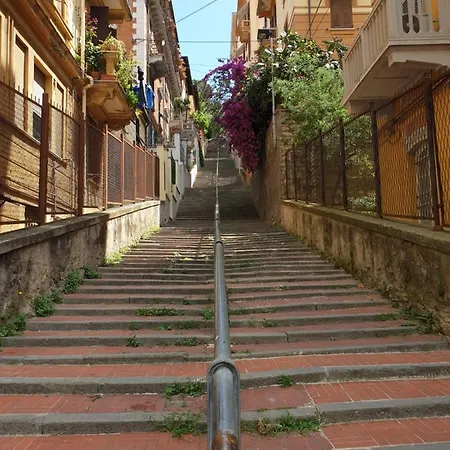 Beautiful Dream 라스페치아